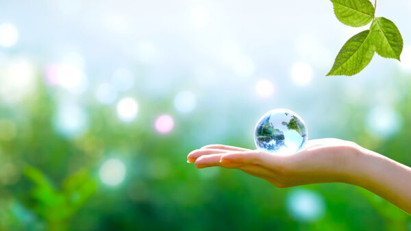 Webinar | X29, Collaborative Contracting for Nature and Climate Benefits: How Option X29 Works in Practice