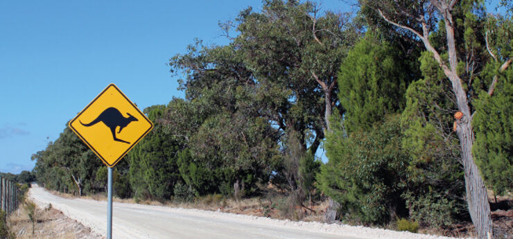 Main Roads Western Australia trials NEC