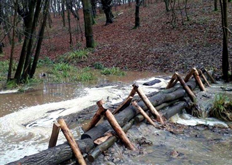 Thorndon Country Park leaky dams, UK