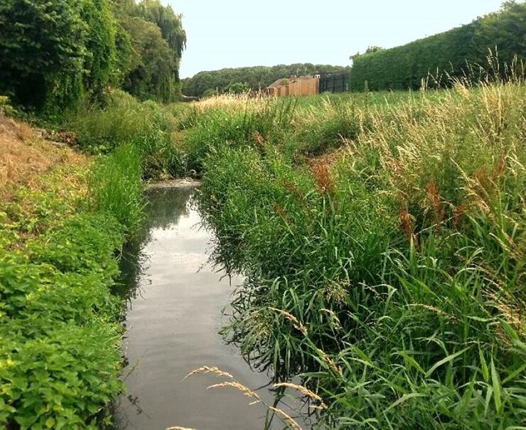 Werrington Brook Improvement Project, Peterborough, UK